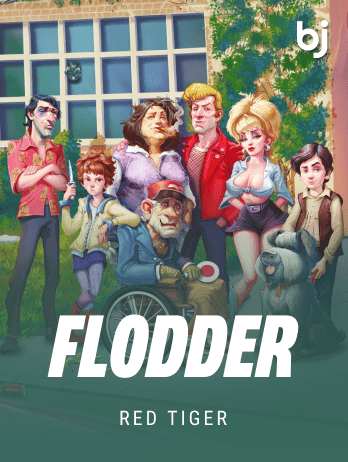 Flodder game thumbnail